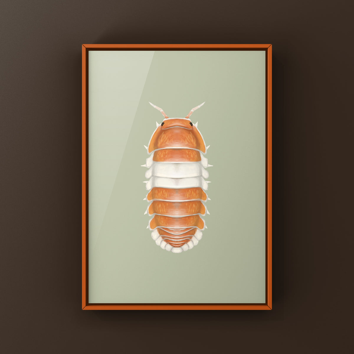 Red Panda King Isopod Art Print (Cubaris sp. Red Panda King) from The Silk Ranch