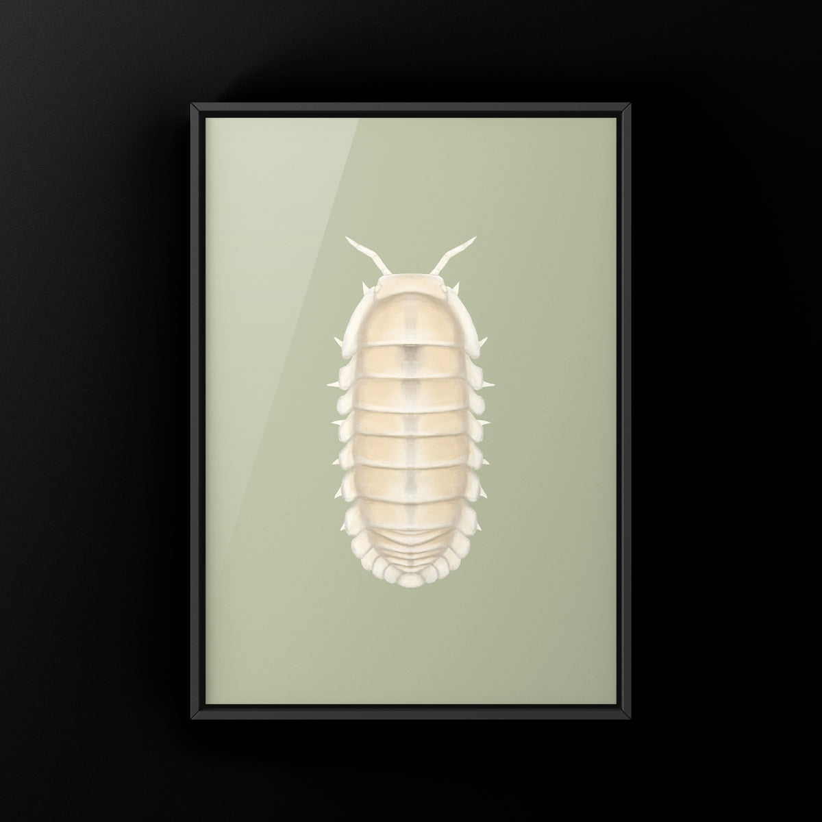 Glacier Isopod Art Print (Cubaris sp. Glacier) from The Silk Ranch
