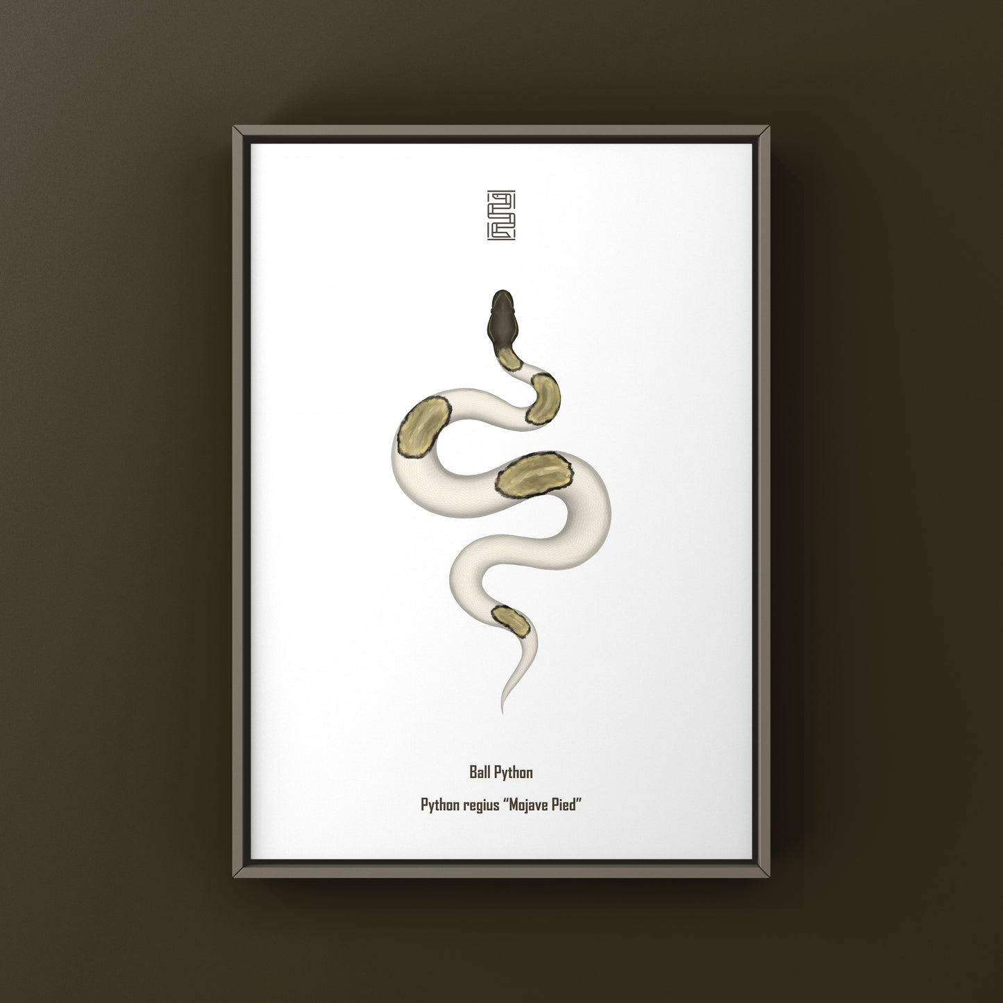 Mojave Pied Ball Python Art Print from The Silk Ranch