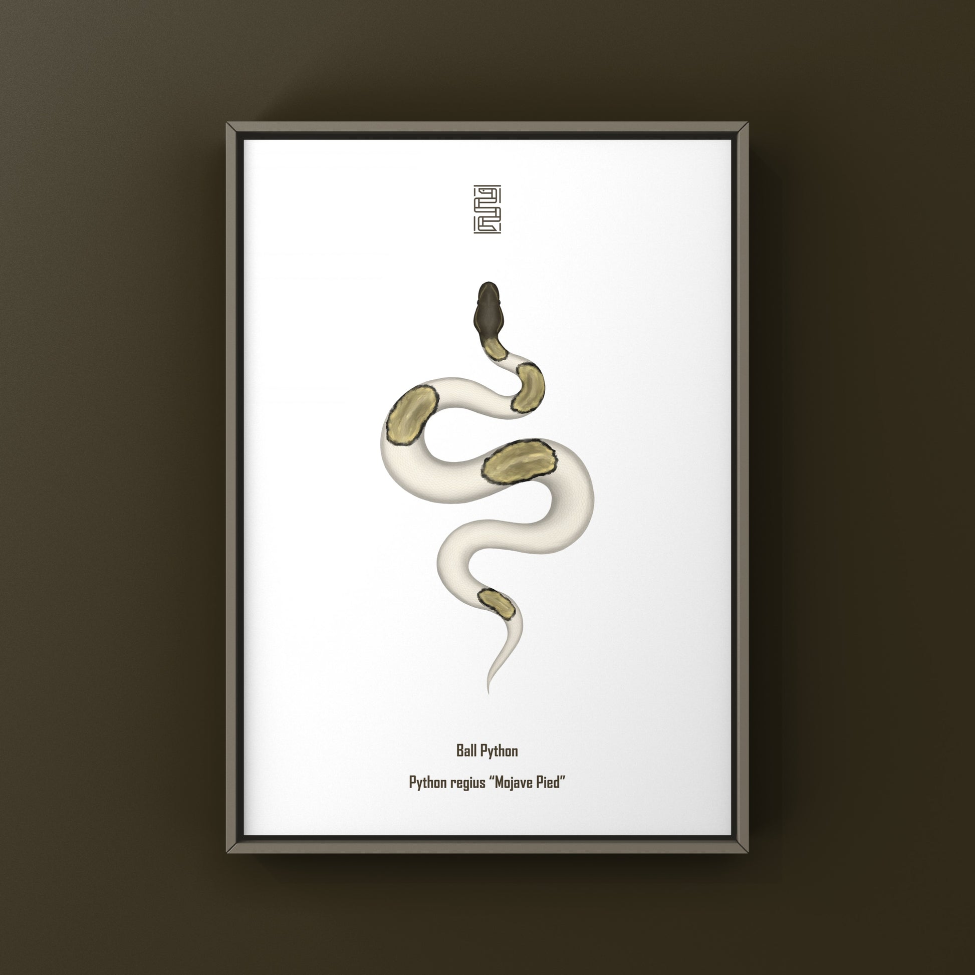 Mojave Pied Ball Python Art Print from The Silk Ranch