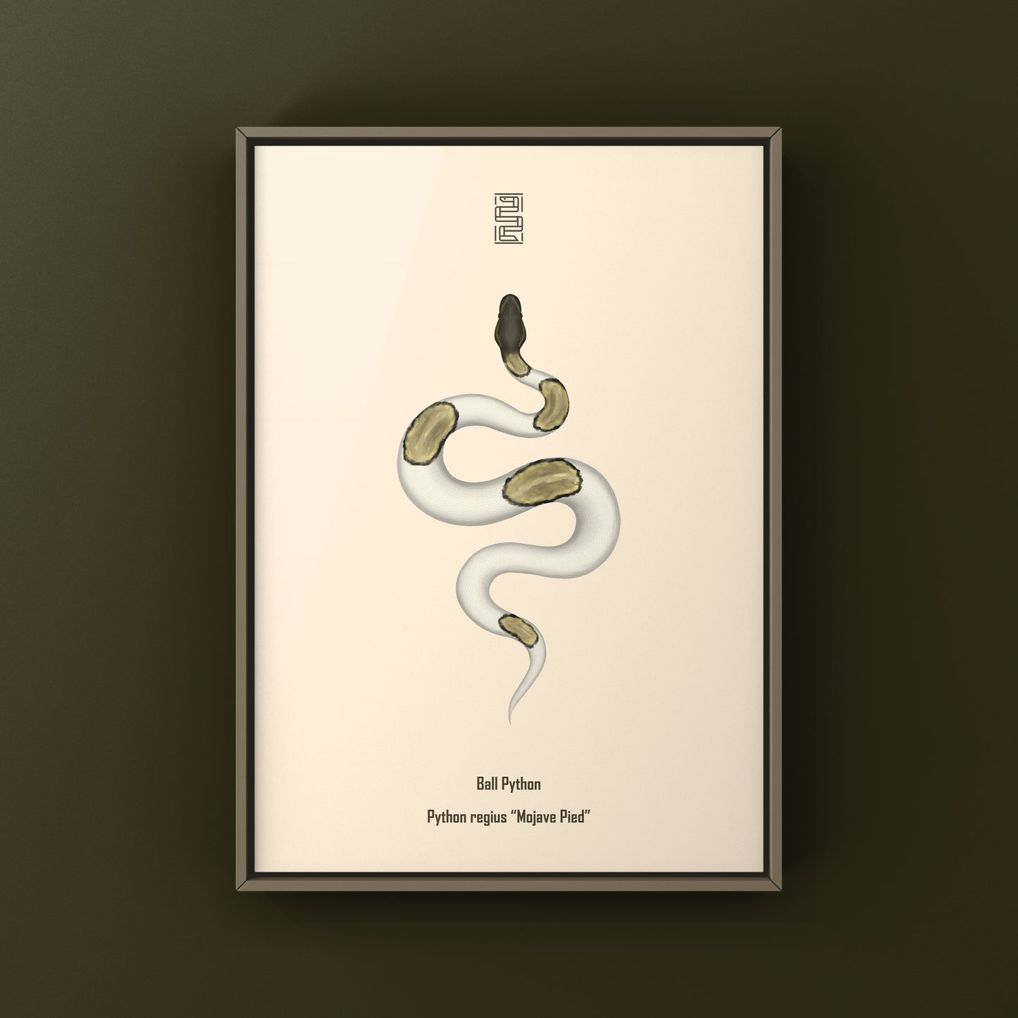Mojave Pied Ball Python Art Print from The Silk Ranch