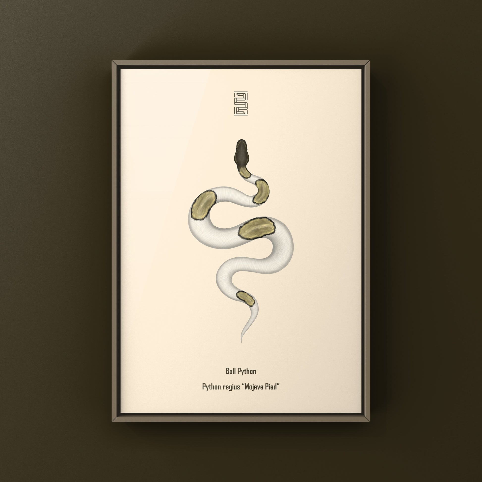 Mojave Pied Ball Python Art Print from The Silk Ranch