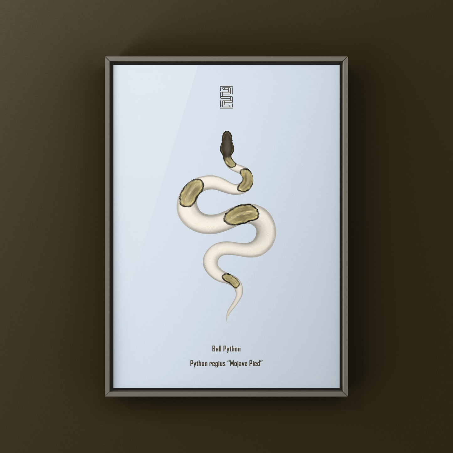 Mojave Pied Ball Python Art Print from The Silk Ranch