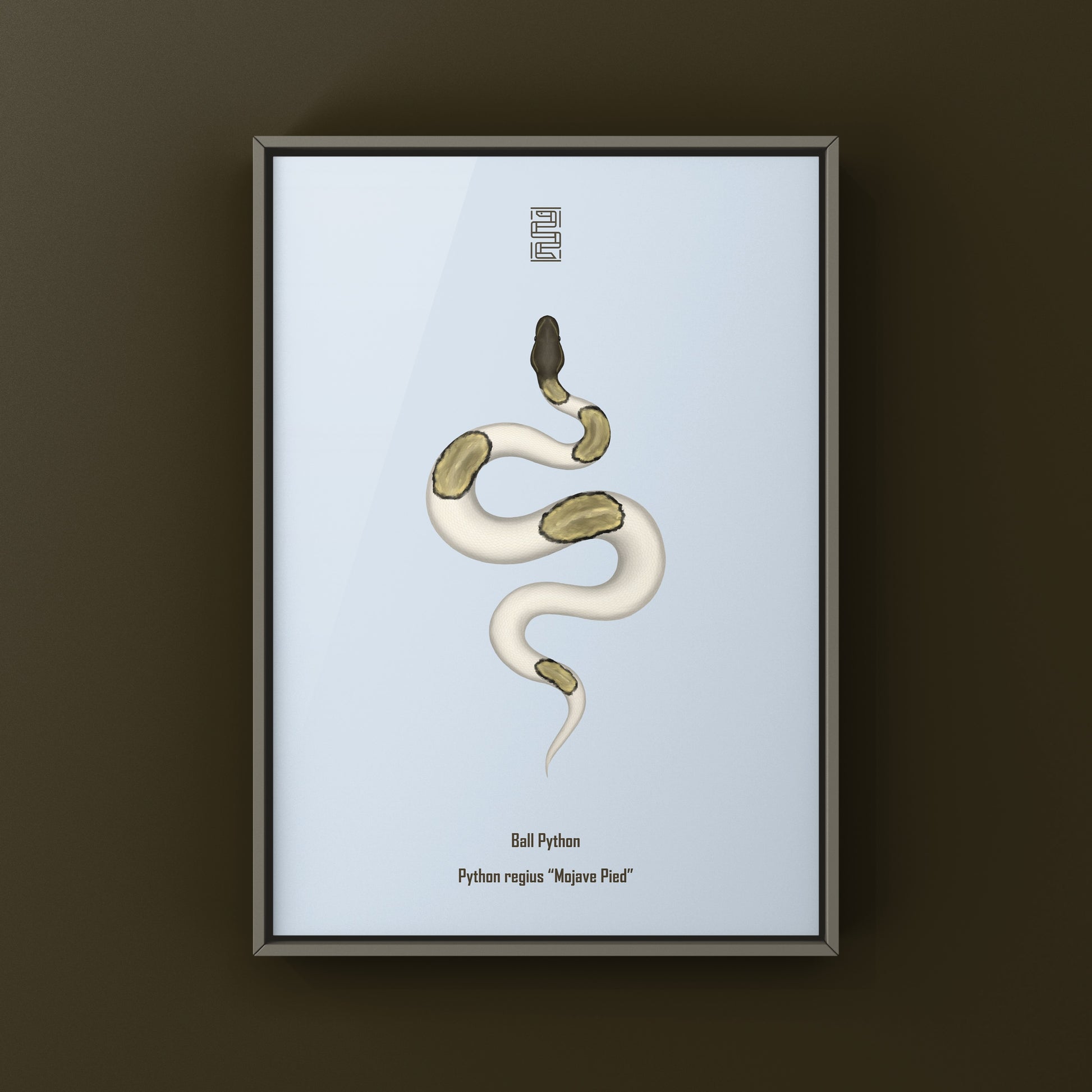 Mojave Pied Ball Python Art Print from The Silk Ranch