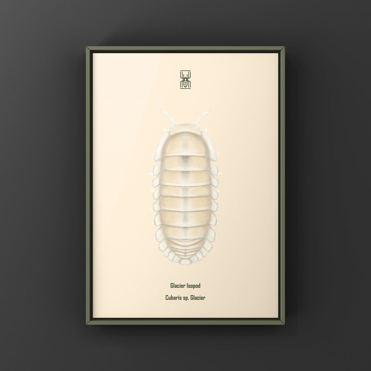 Glacier Isopod Art Print (Cubaris sp. Glacier) from The Silk Ranch