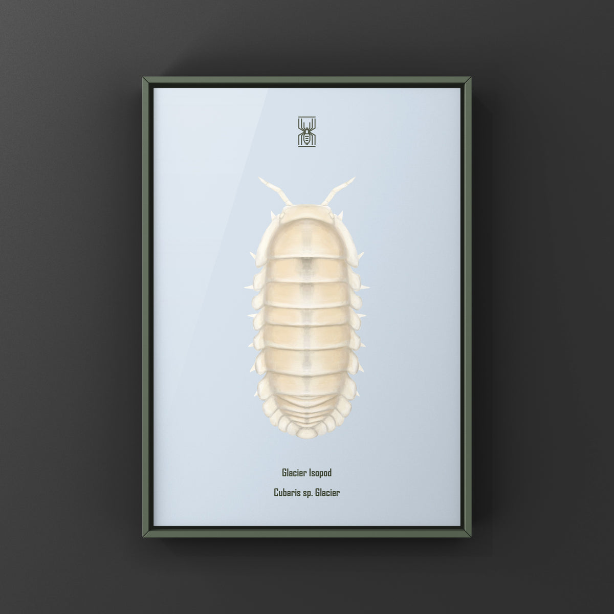 Glacier Isopod Art Print (Cubaris sp. Glacier) from The Silk Ranch