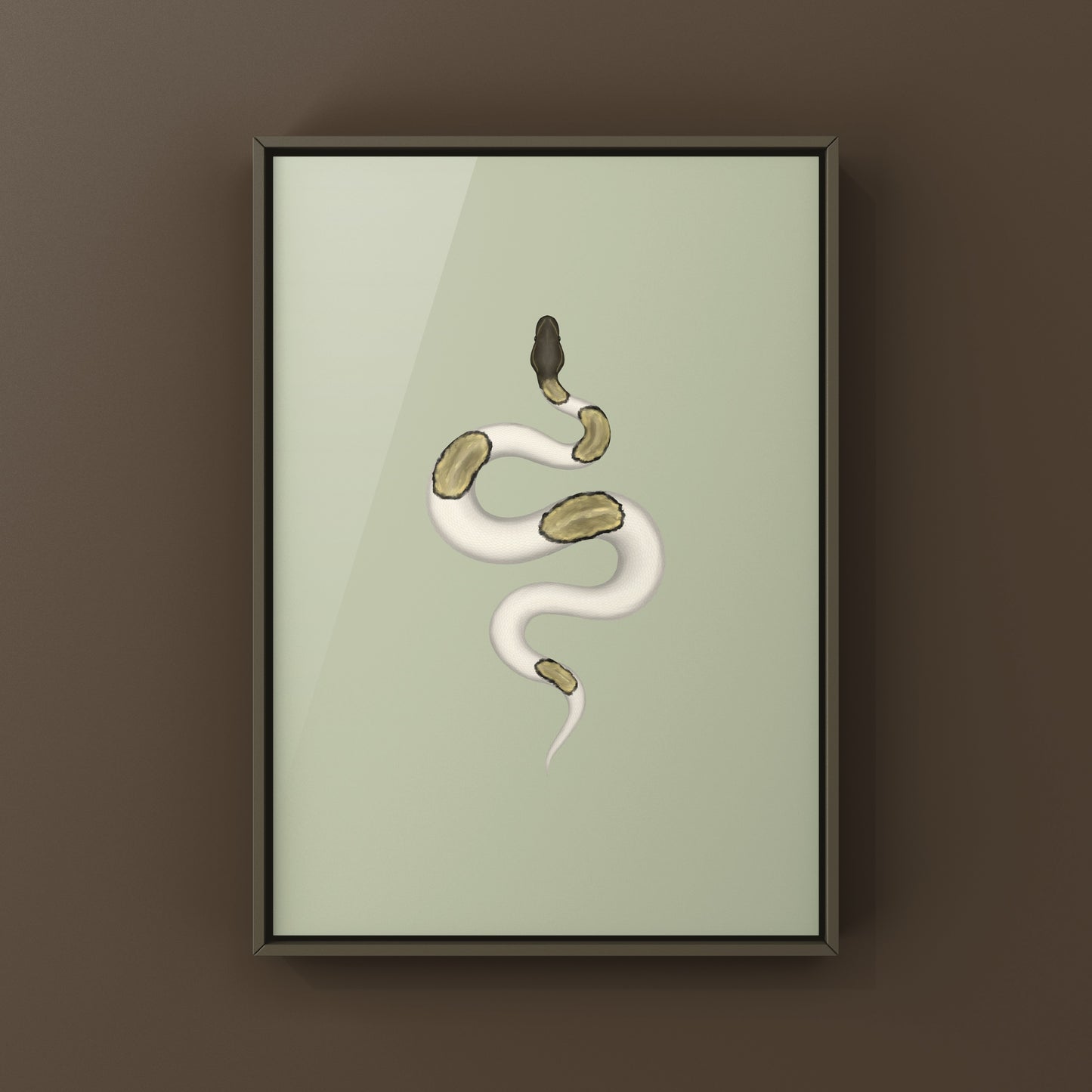 Mojave Pied Ball Python Art Print from The Silk Ranch