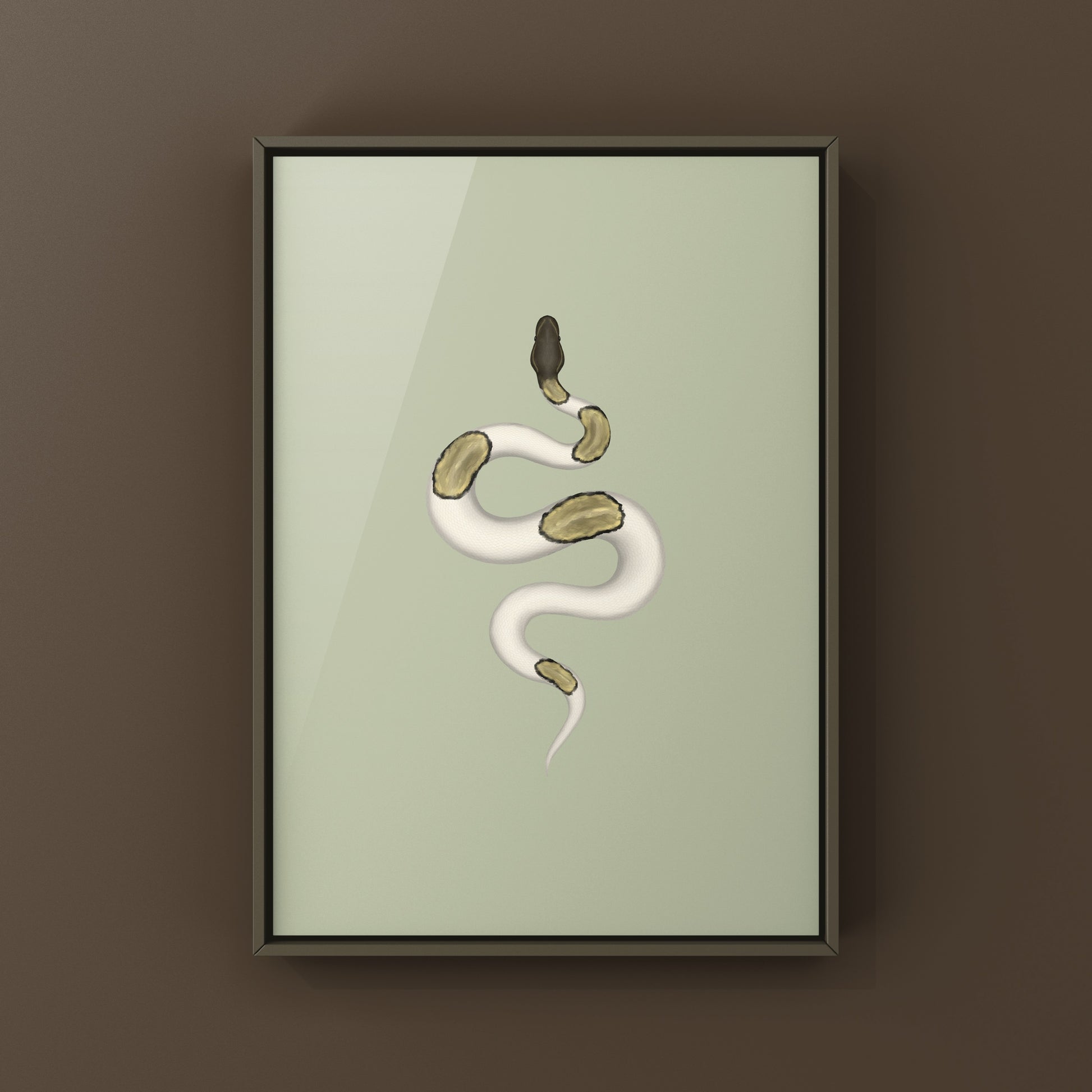 Mojave Pied Ball Python Art Print from The Silk Ranch
