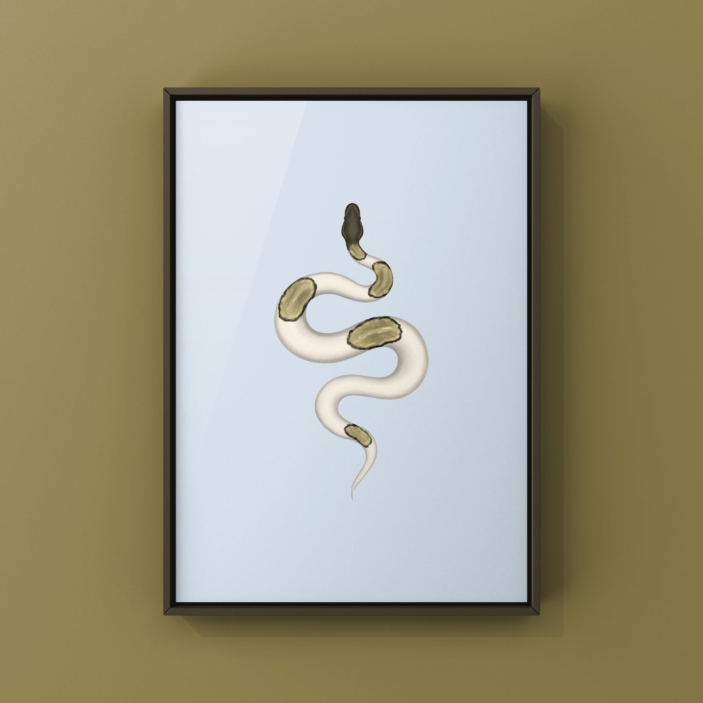 Mojave Pied Ball Python Art Print from The Silk Ranch