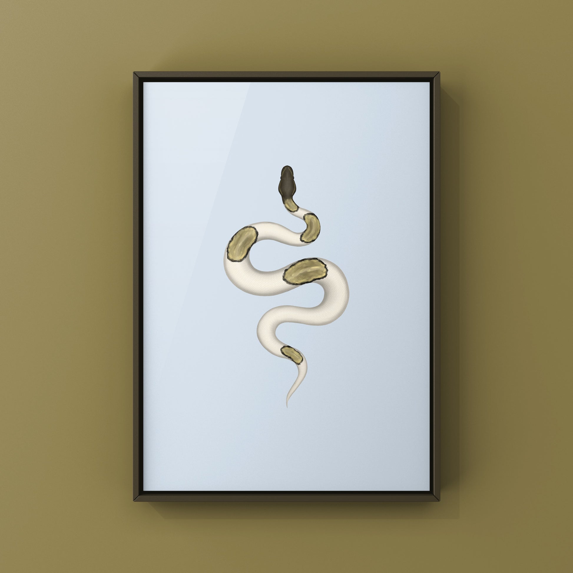 Mojave Pied Ball Python Art Print from The Silk Ranch