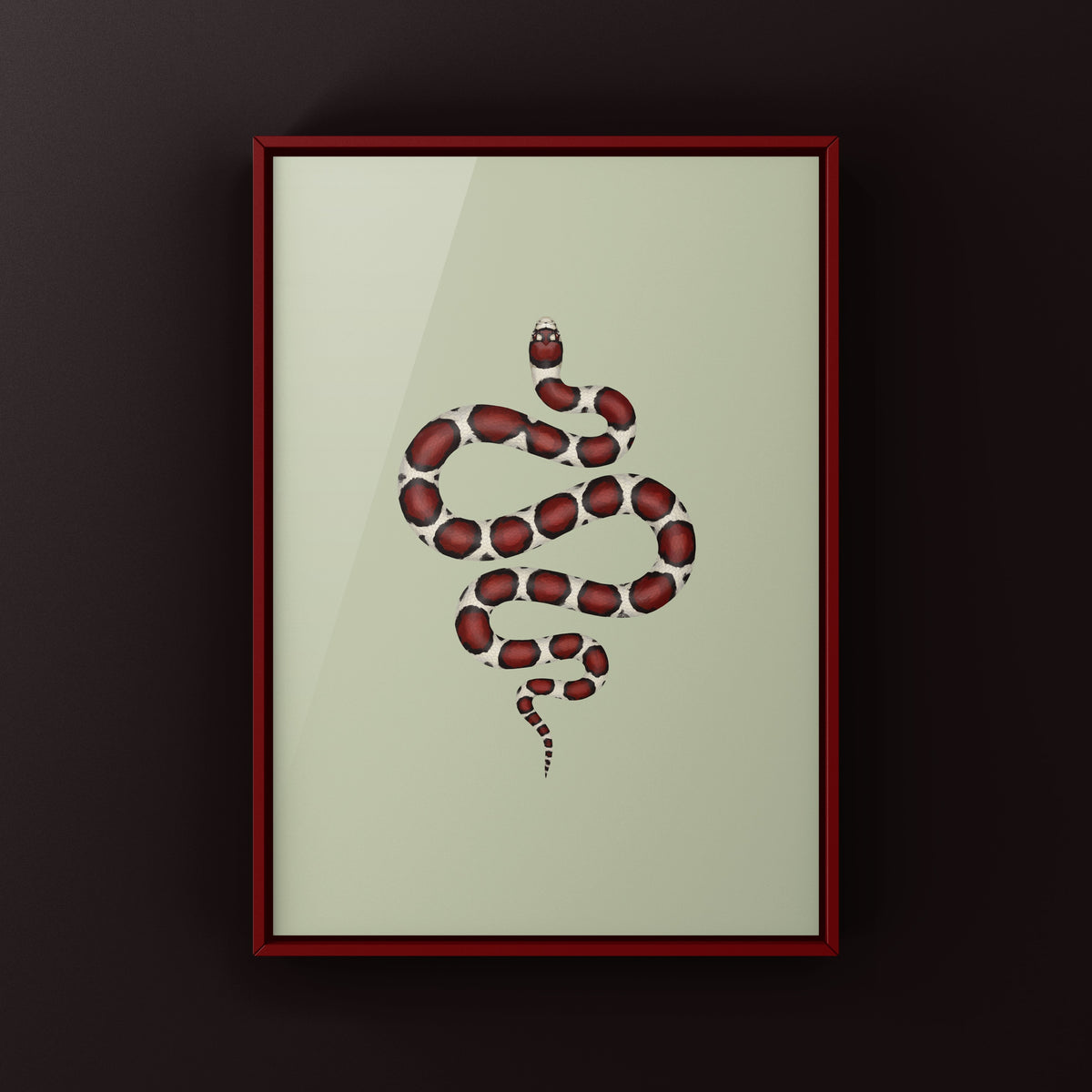 Eastern Milk Snake Art Print (Lampropeltis triangulum triangulum)