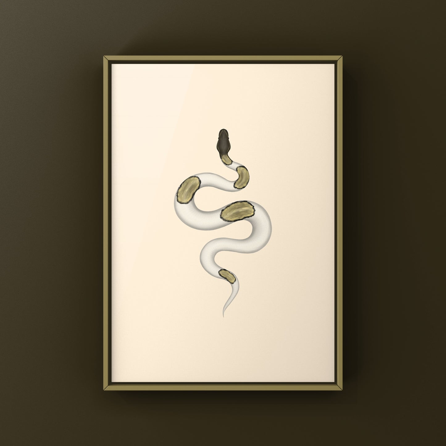 Mojave Pied Ball Python Art Print from The Silk Ranch