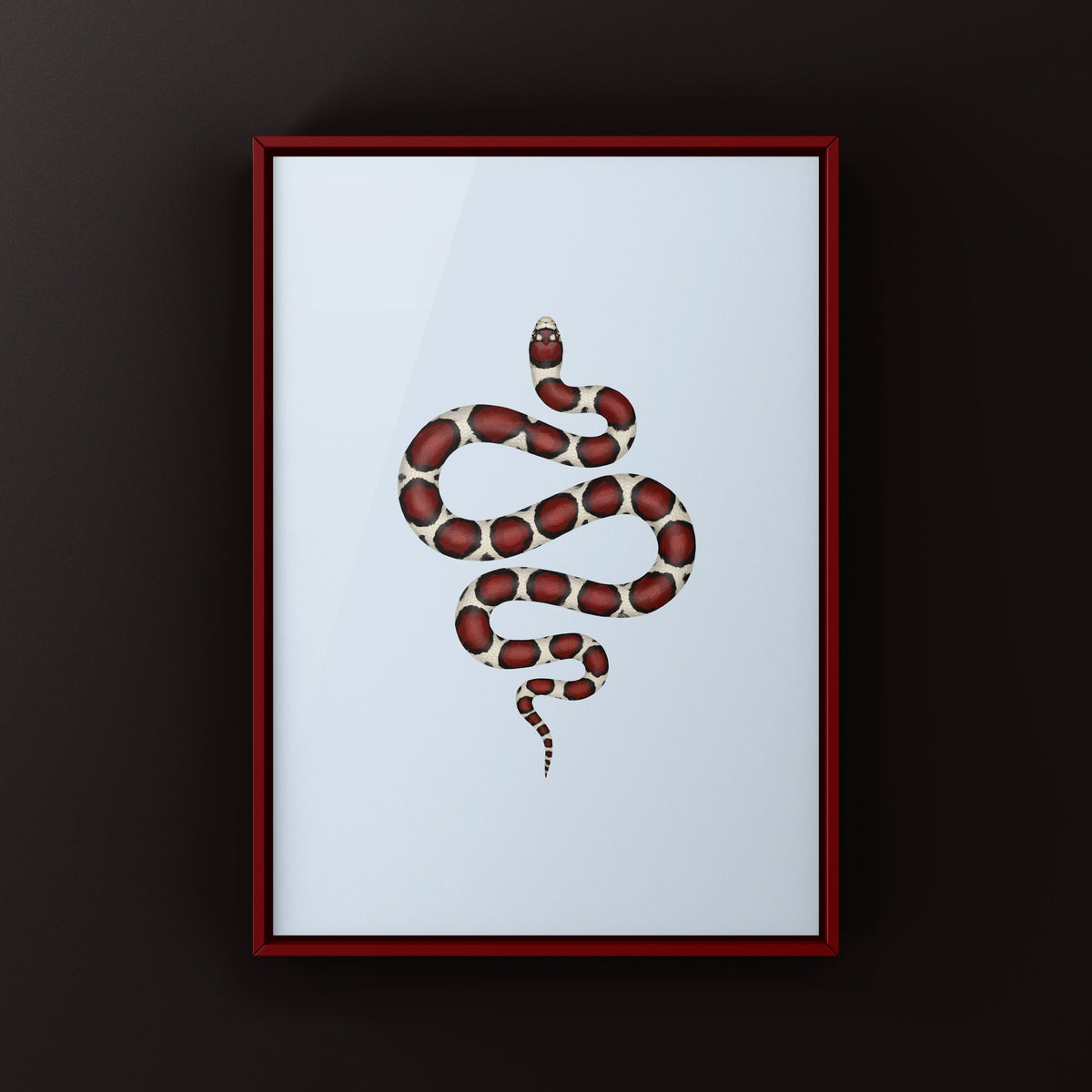 Eastern Milk Snake Art Print (Lampropeltis triangulum triangulum)