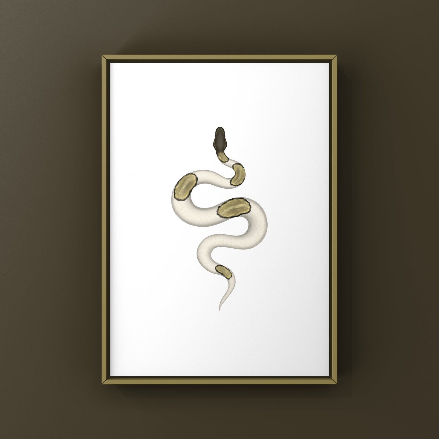 Mojave Pied Ball Python Art Print from The Silk Ranch