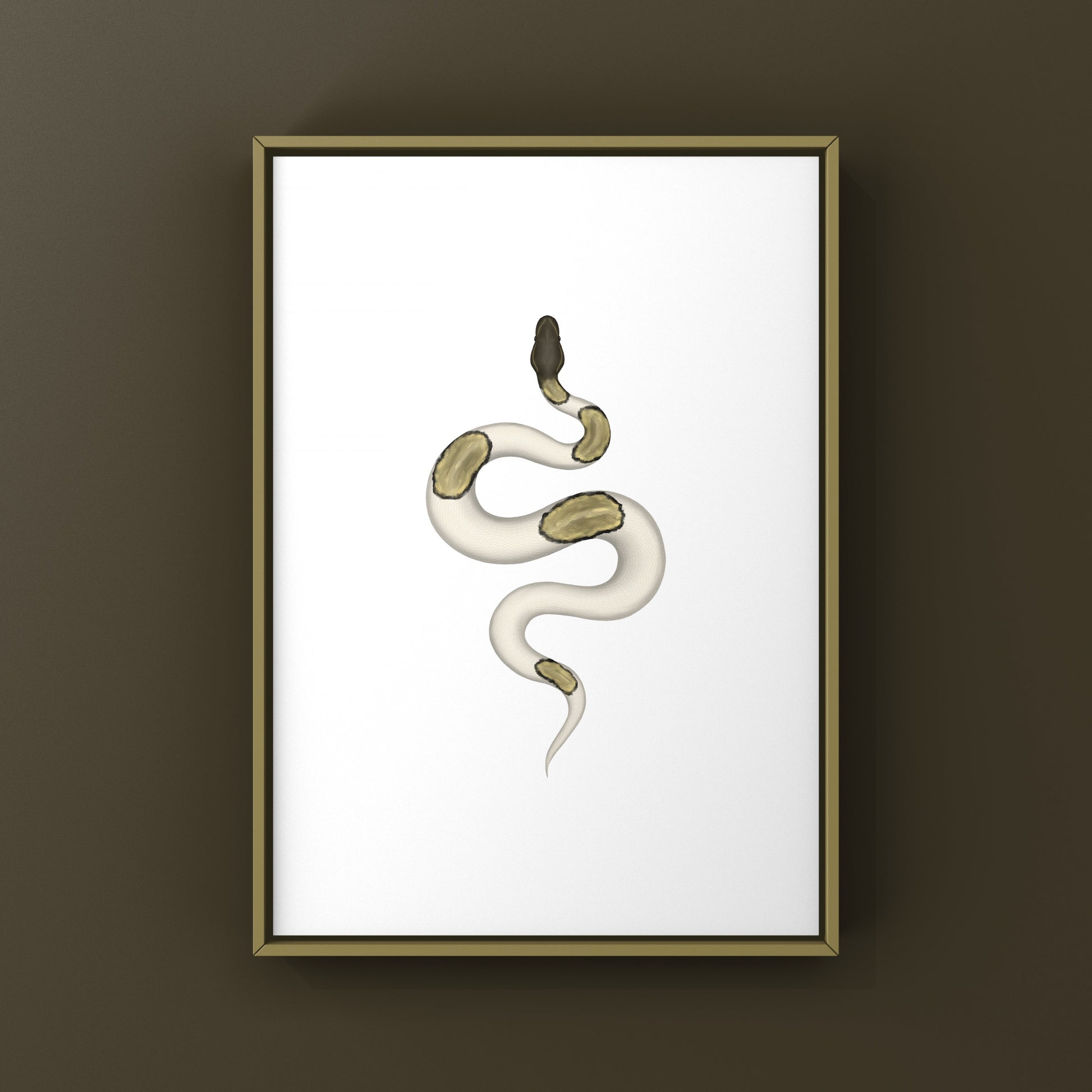 Mojave Pied Ball Python Art Print from The Silk Ranch