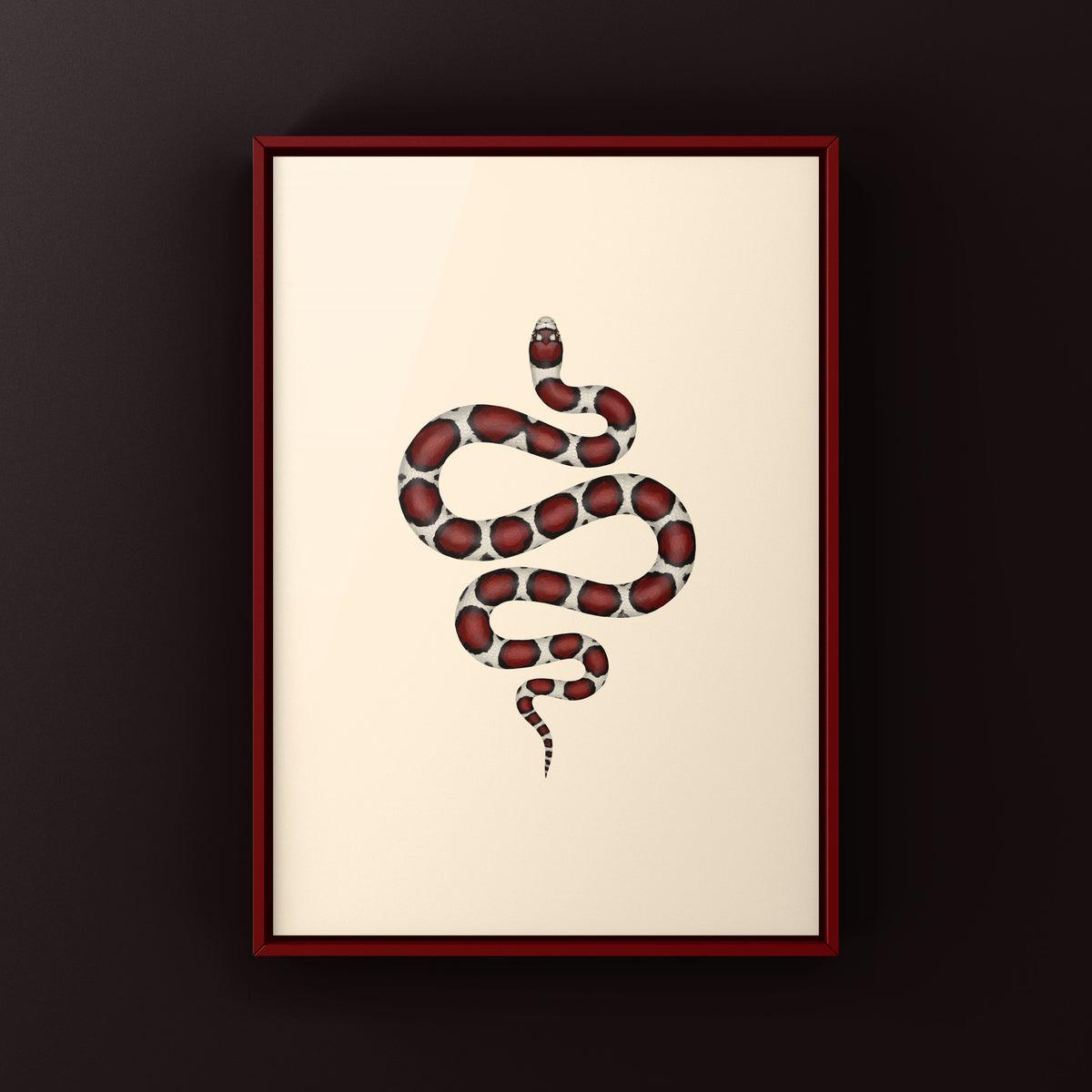 Eastern Milk Snake Art Print (Lampropeltis triangulum triangulum)