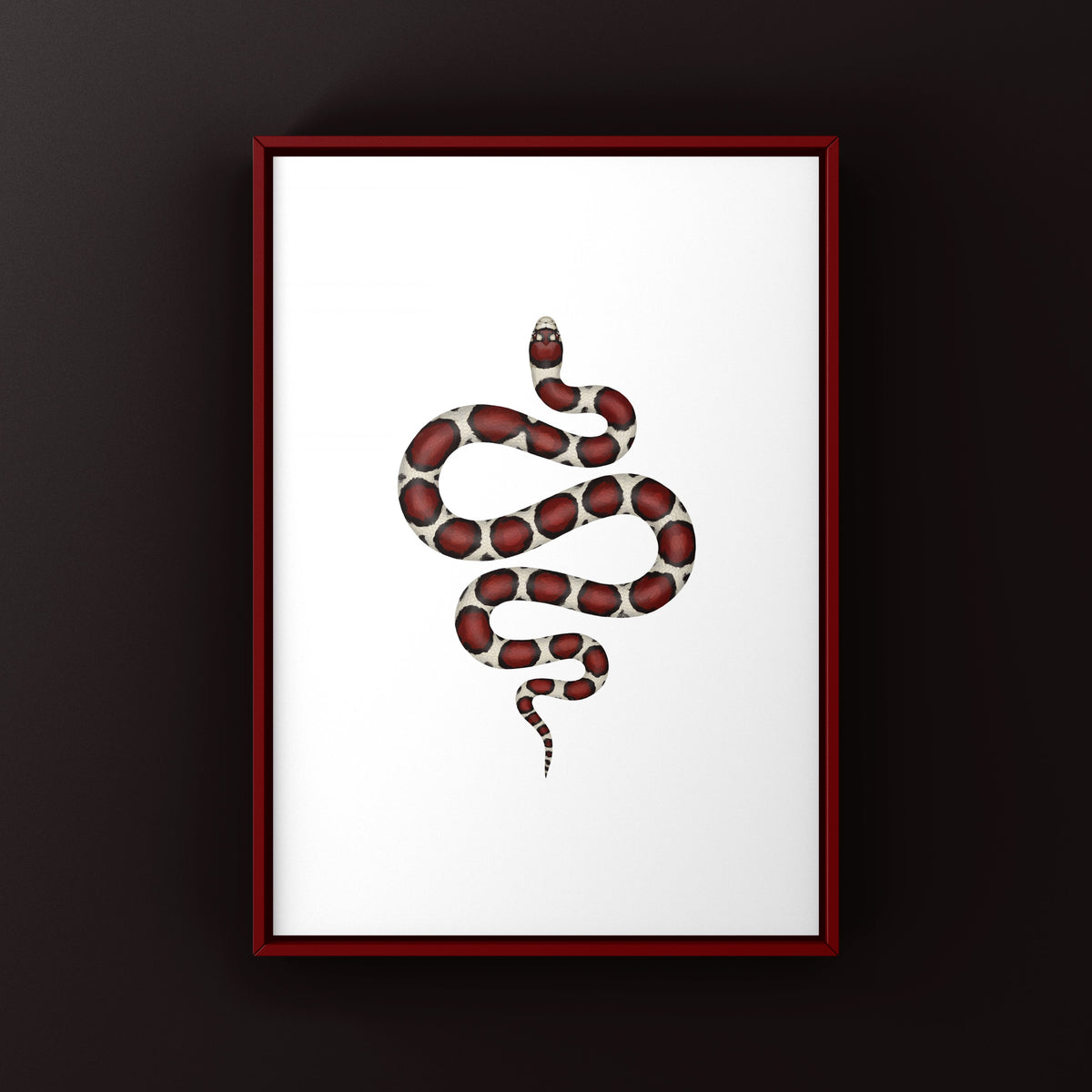 Eastern Milk Snake Art Print (Lampropeltis triangulum triangulum)