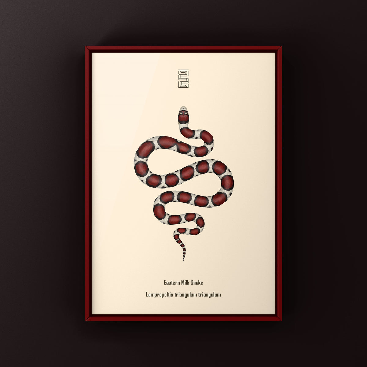 Eastern Milk Snake Art Print (Lampropeltis triangulum triangulum)