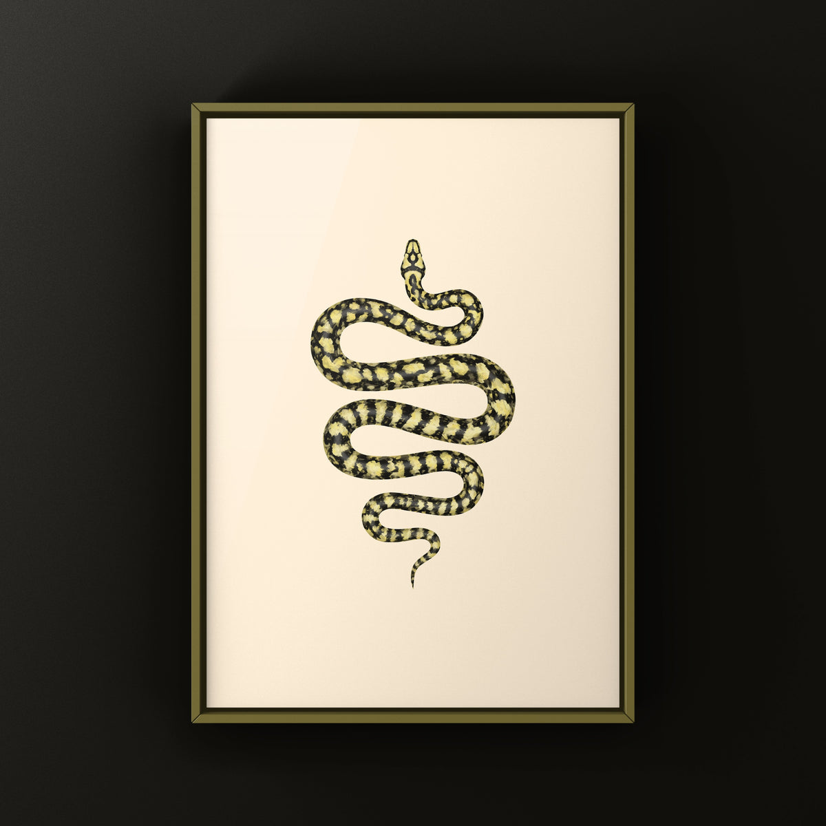 Carpet Python Art Print (Morelia spilota cheynei)