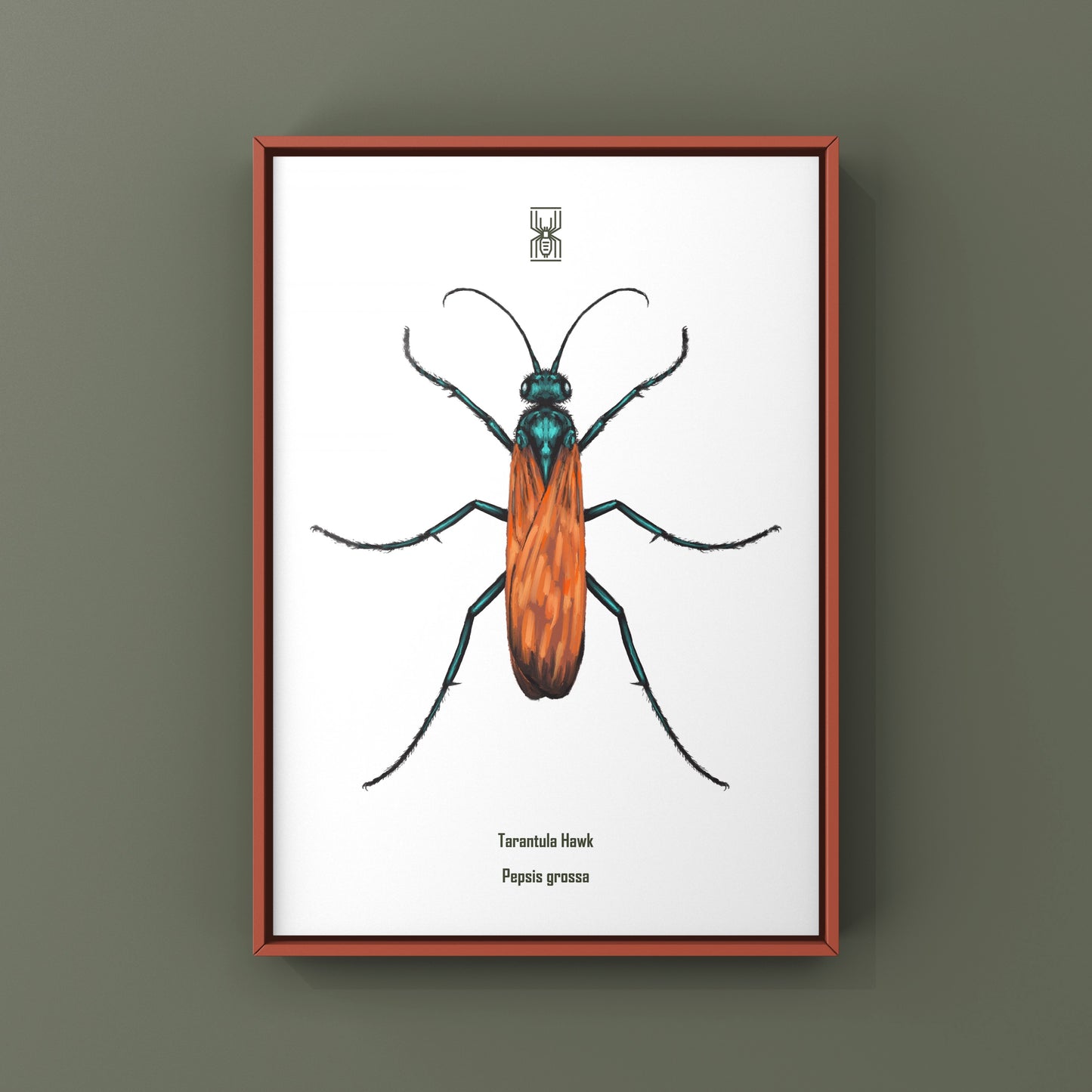 Tarantula Hawk (Pepsis grossa) Art Print from The Silk Ranch