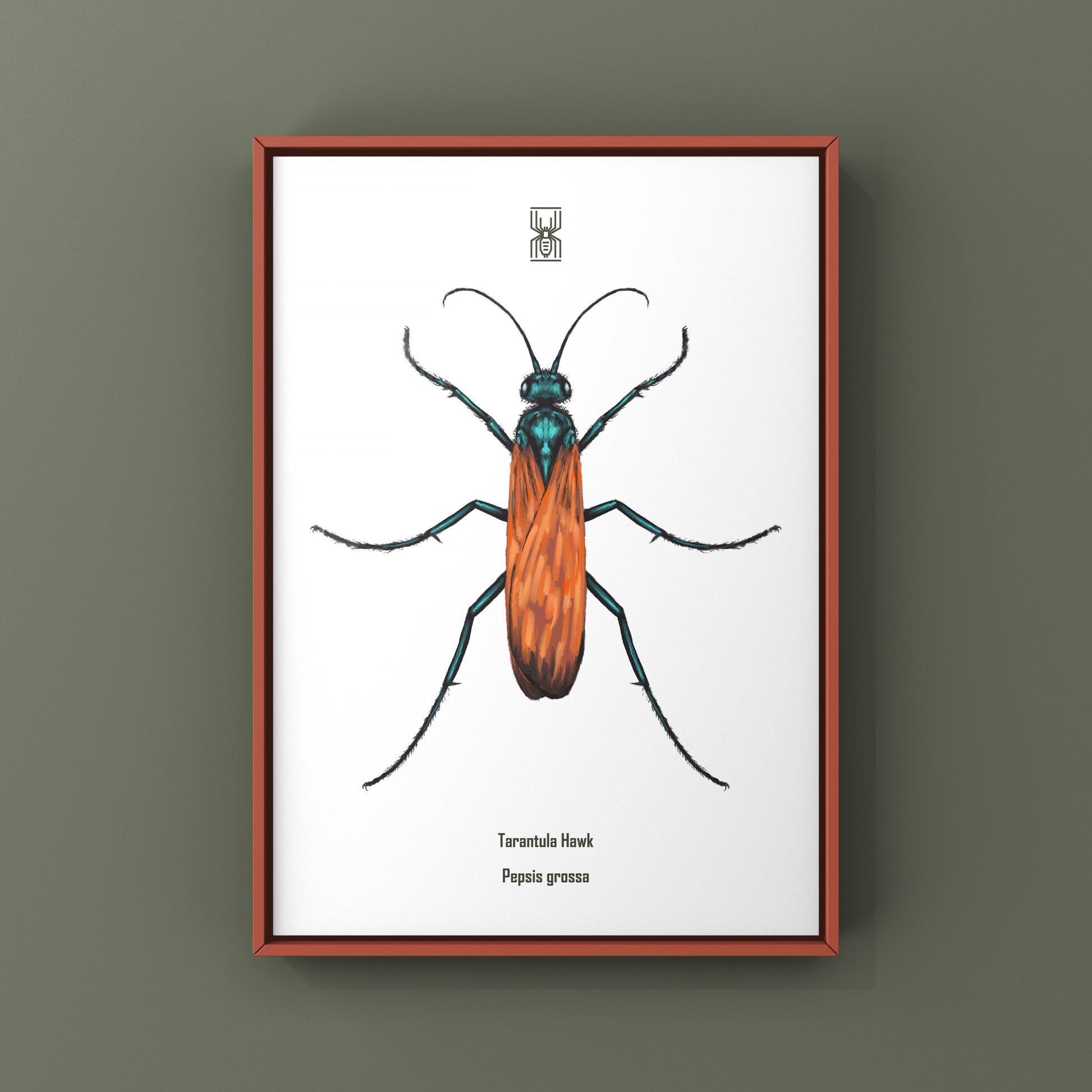 Tarantula Hawk (Pepsis grossa) Art Print from The Silk Ranch
