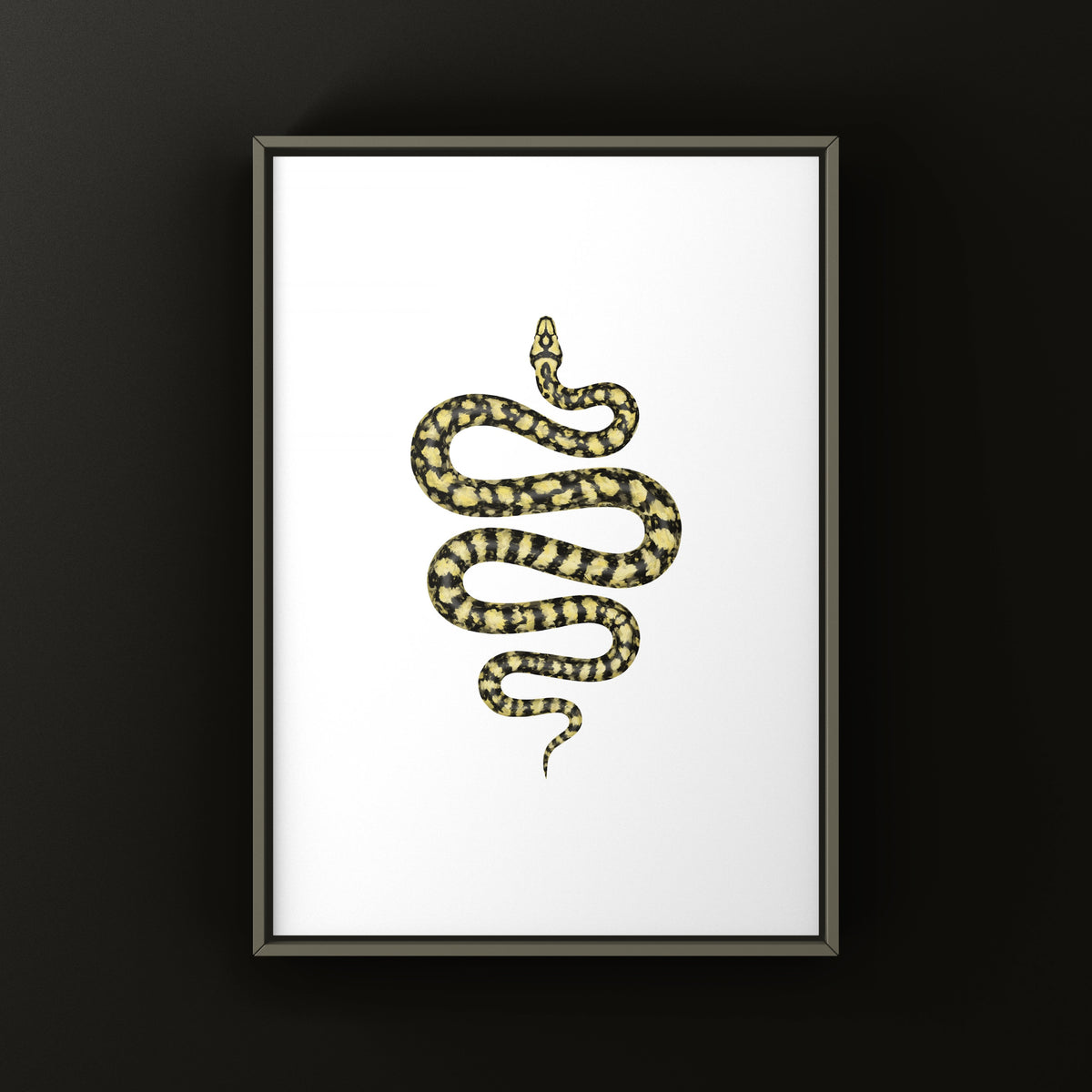 Carpet Python Art Print (Morelia spilota cheynei)