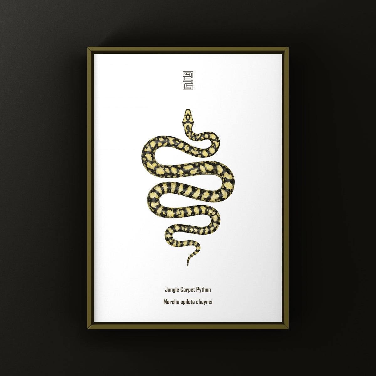 Carpet Python Art Print (Morelia spilota cheynei)