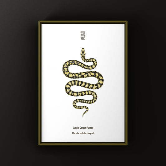 Carpet Python Art Print (Morelia spilota cheynei)
