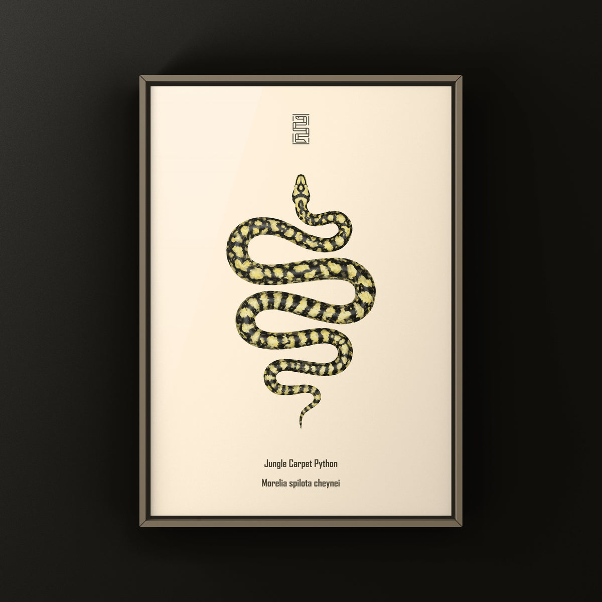 Carpet Python Art Print (Morelia spilota cheynei)