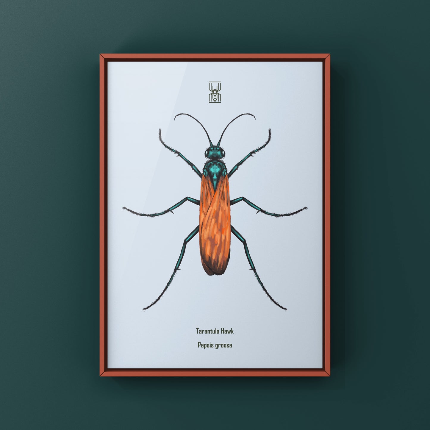 Tarantula Hawk (Pepsis grossa) Art Print from The Silk Ranch