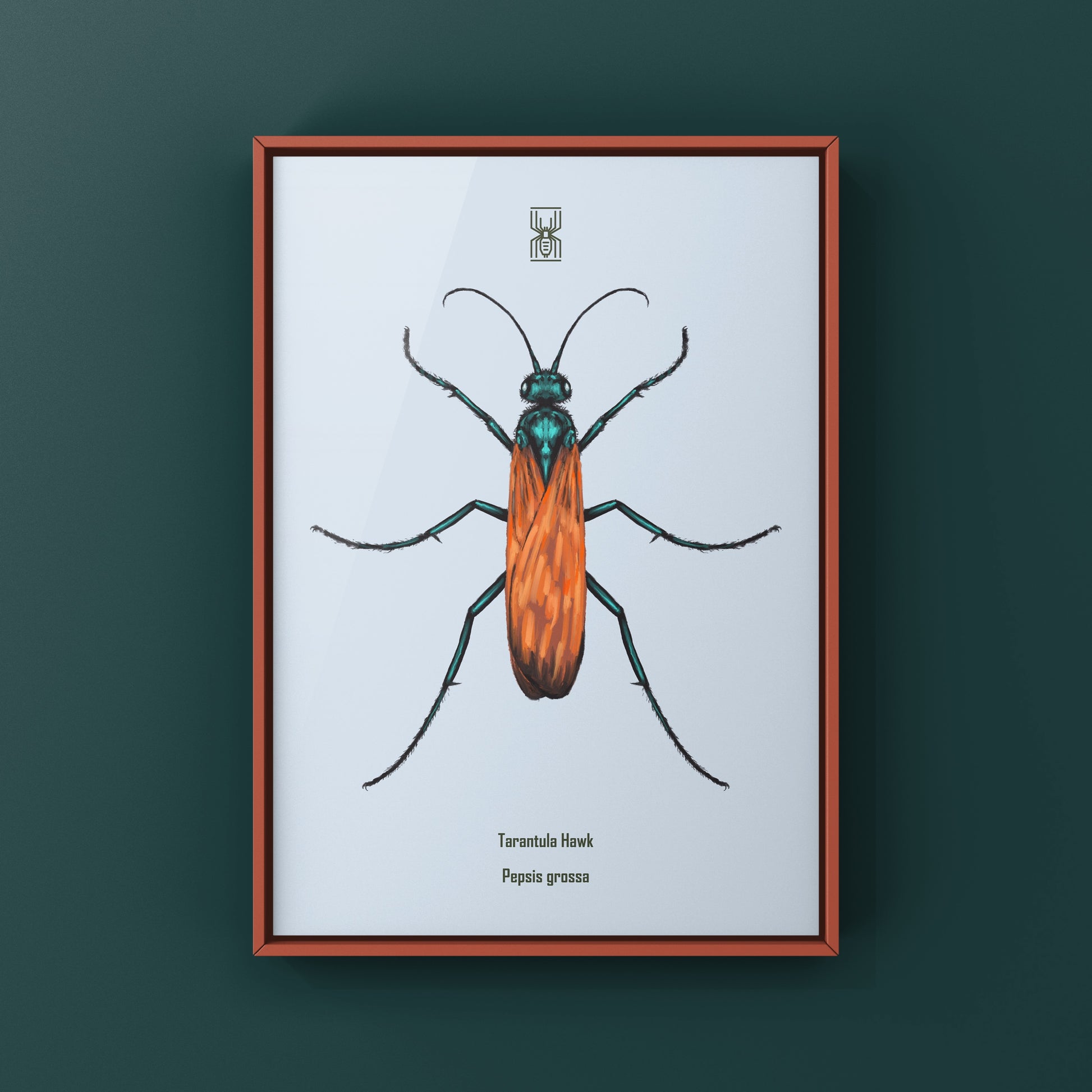 Tarantula Hawk (Pepsis grossa) Art Print from The Silk Ranch