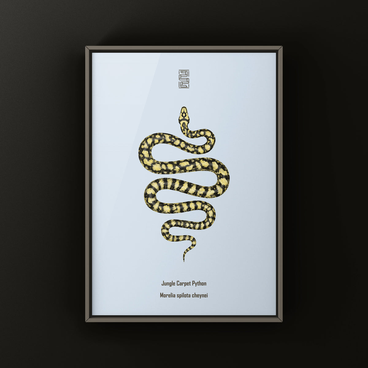 Carpet Python Art Print (Morelia spilota cheynei)