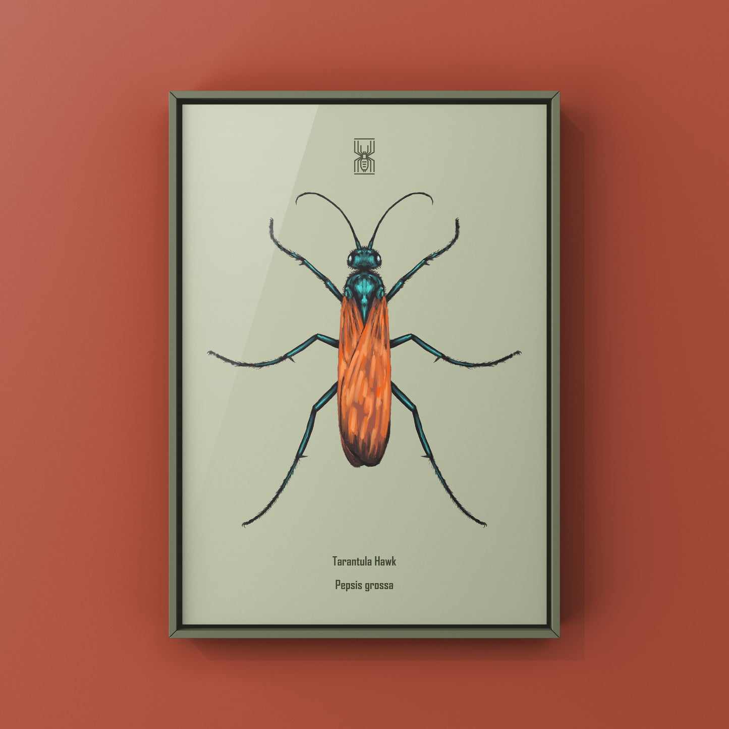 Tarantula Hawk (Pepsis grossa) Art Print from The Silk Ranch