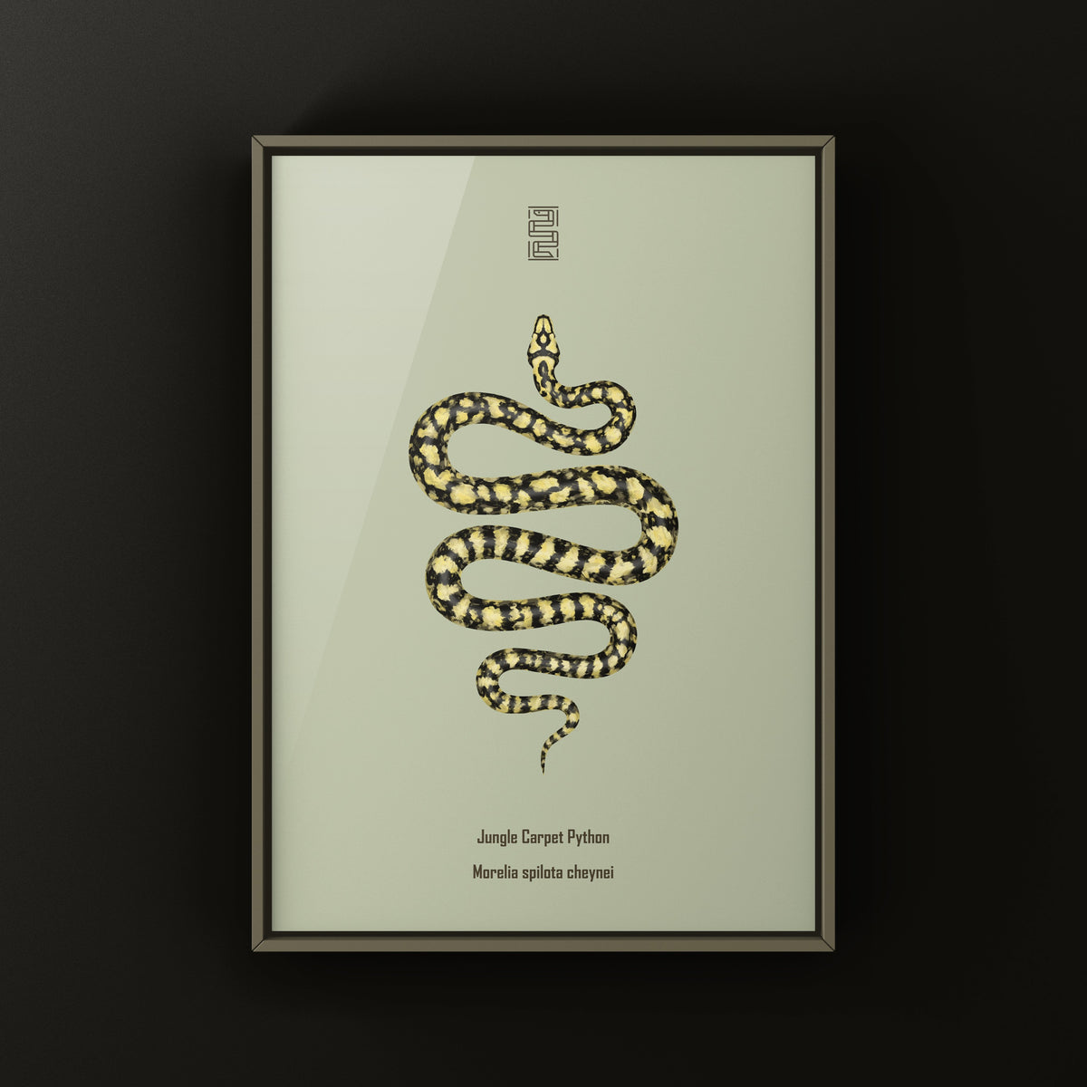 Carpet Python Art Print (Morelia spilota cheynei)