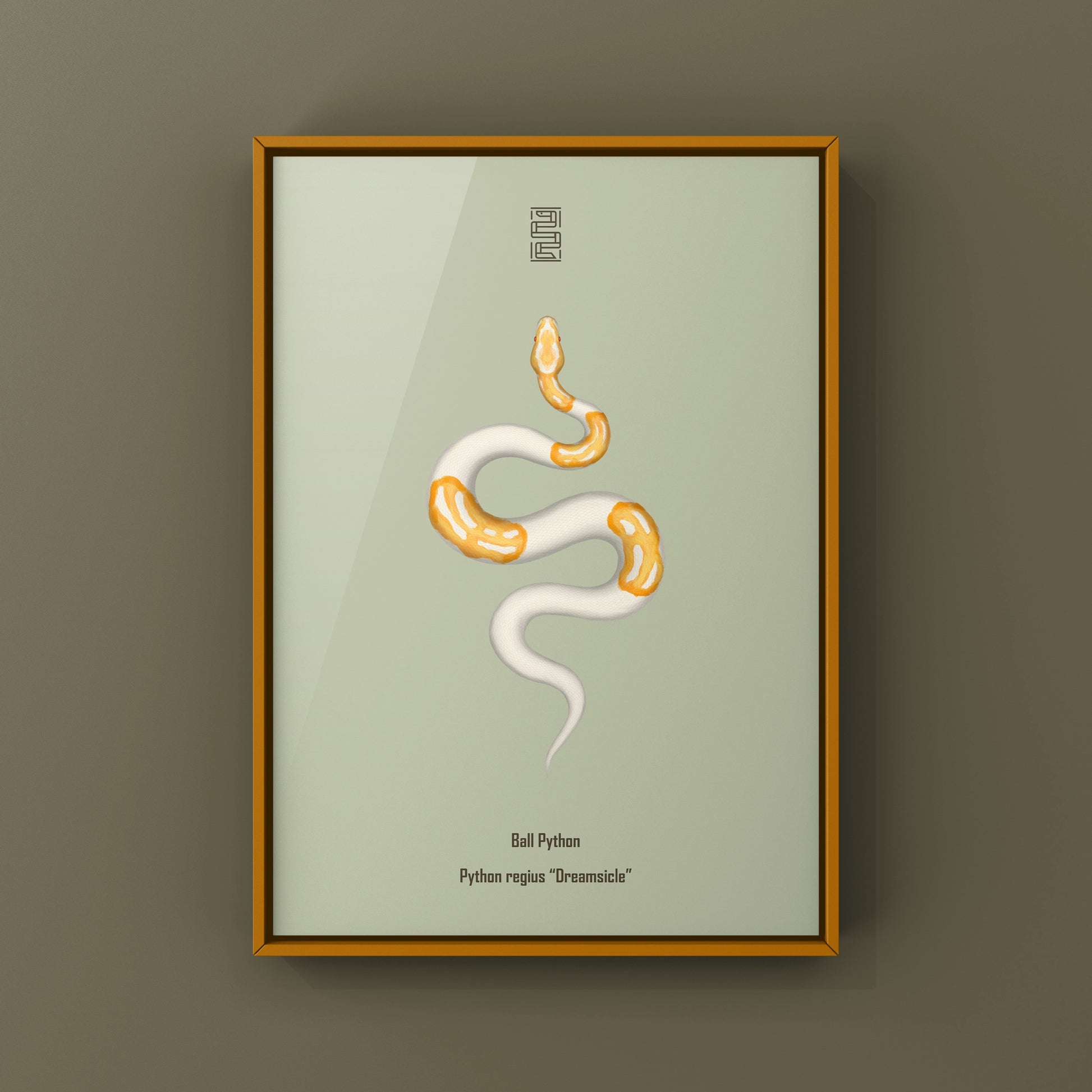 Dreamsicle Ball Python Art Print from The Silk Ranch