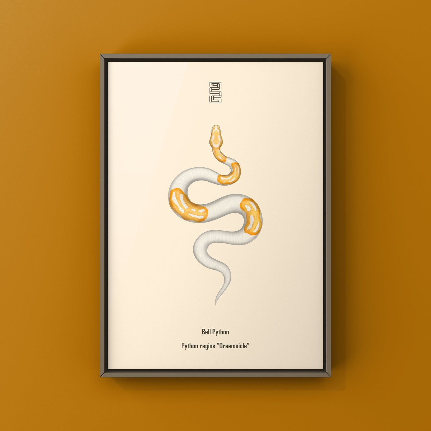 Dreamsicle Ball Python Art Print from The Silk Ranch