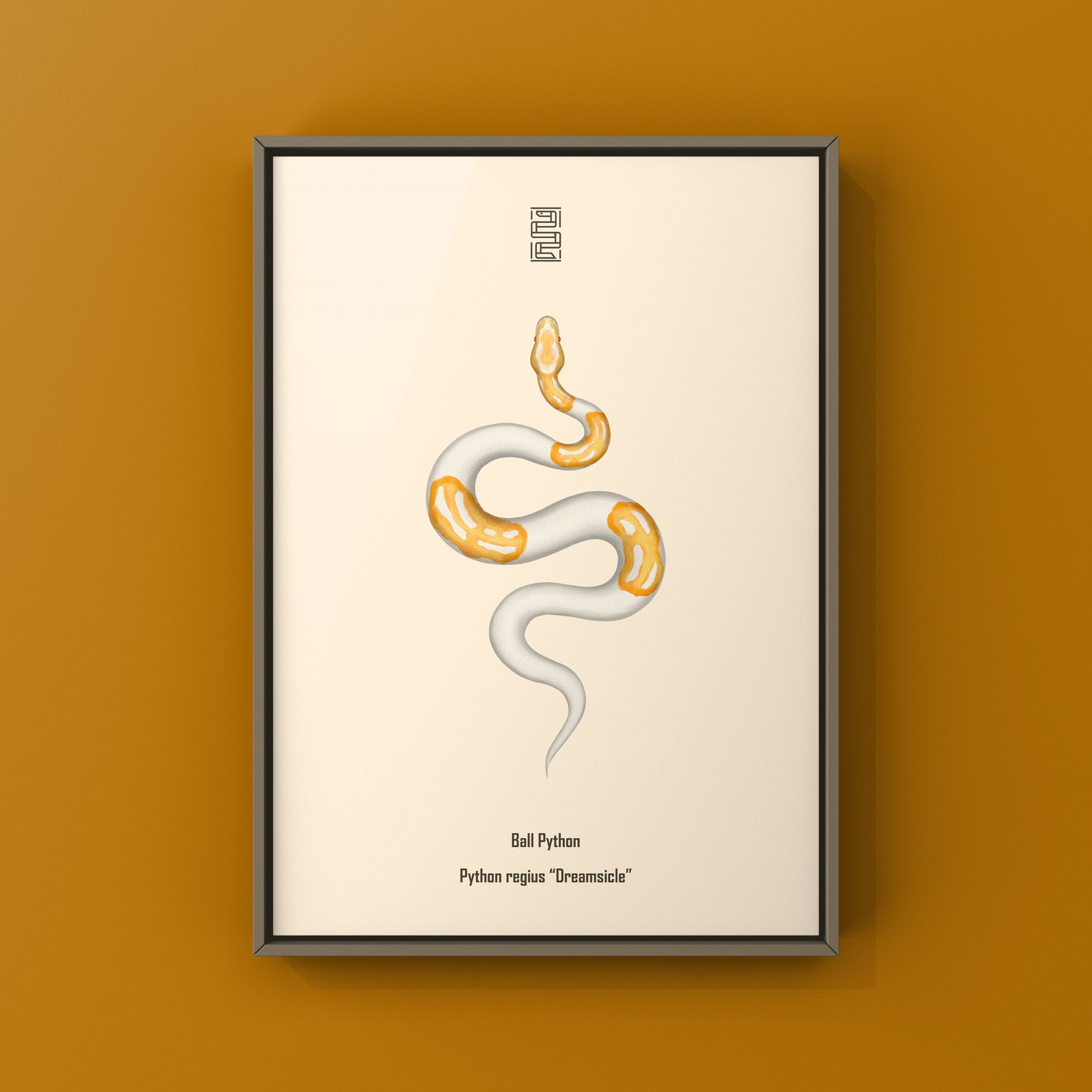 Dreamsicle Ball Python Art Print from The Silk Ranch