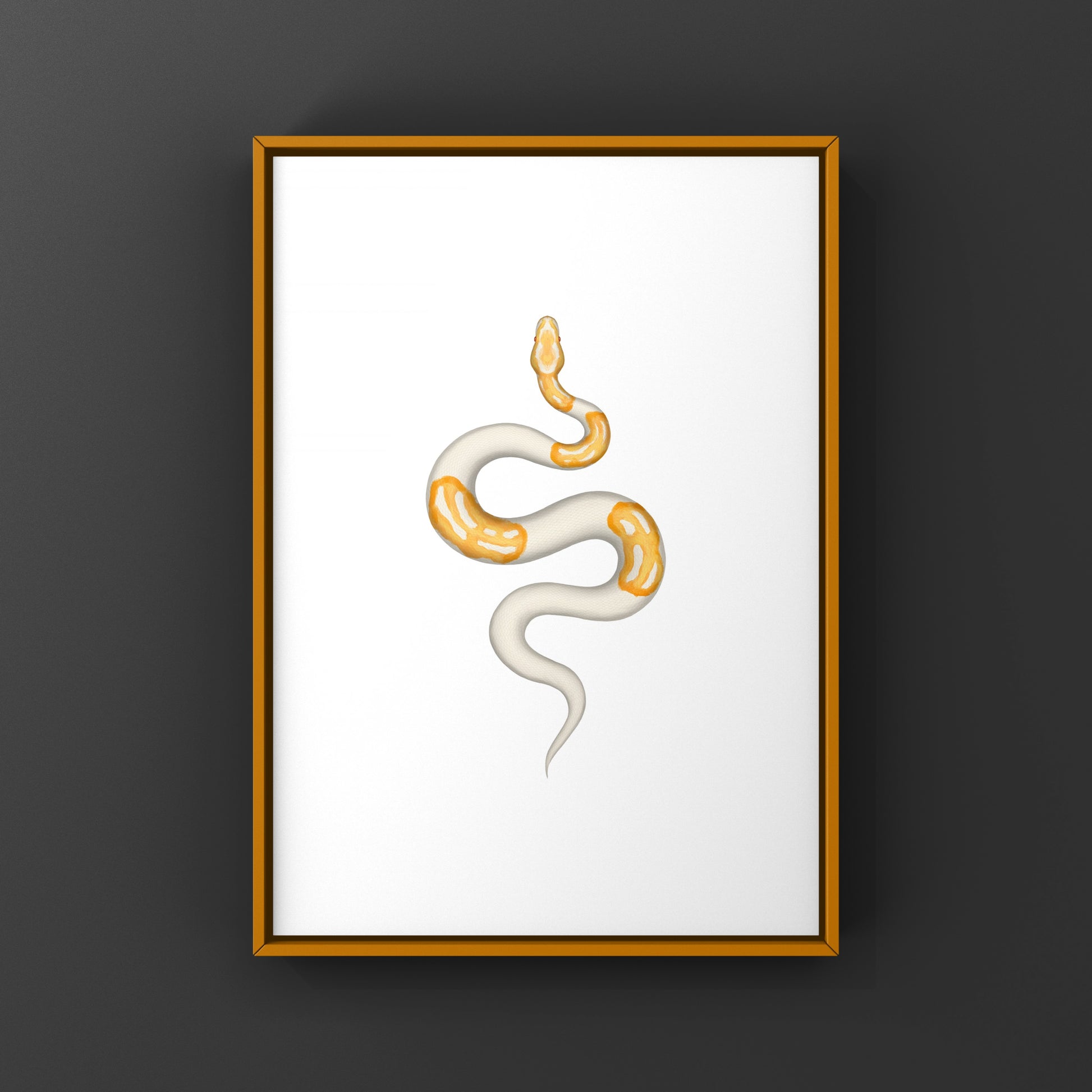 Dreamsicle Ball Python Art Print from The Silk Ranch