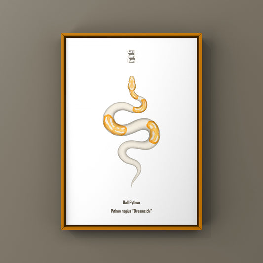 Dreamsicle Ball Python Art Print from The Silk Ranch