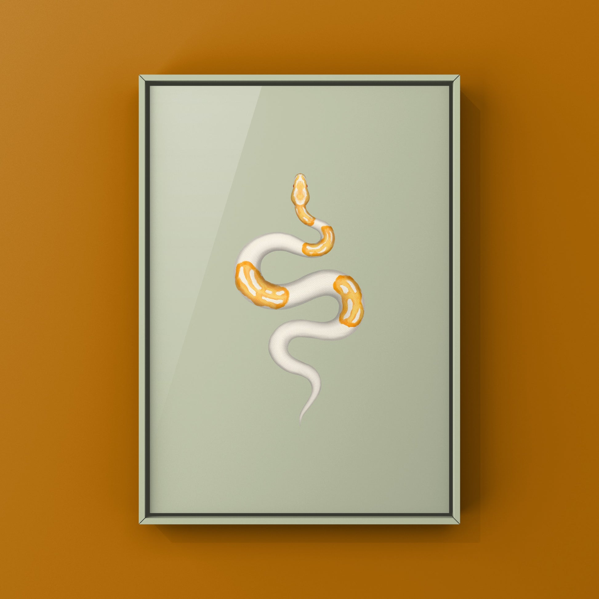 Dreamsicle Ball Python Art Print from The Silk Ranch
