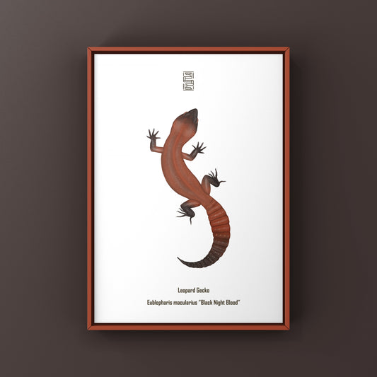 Black Night Blood Leopard Gecko Art Print (Eublepharis macularius)
