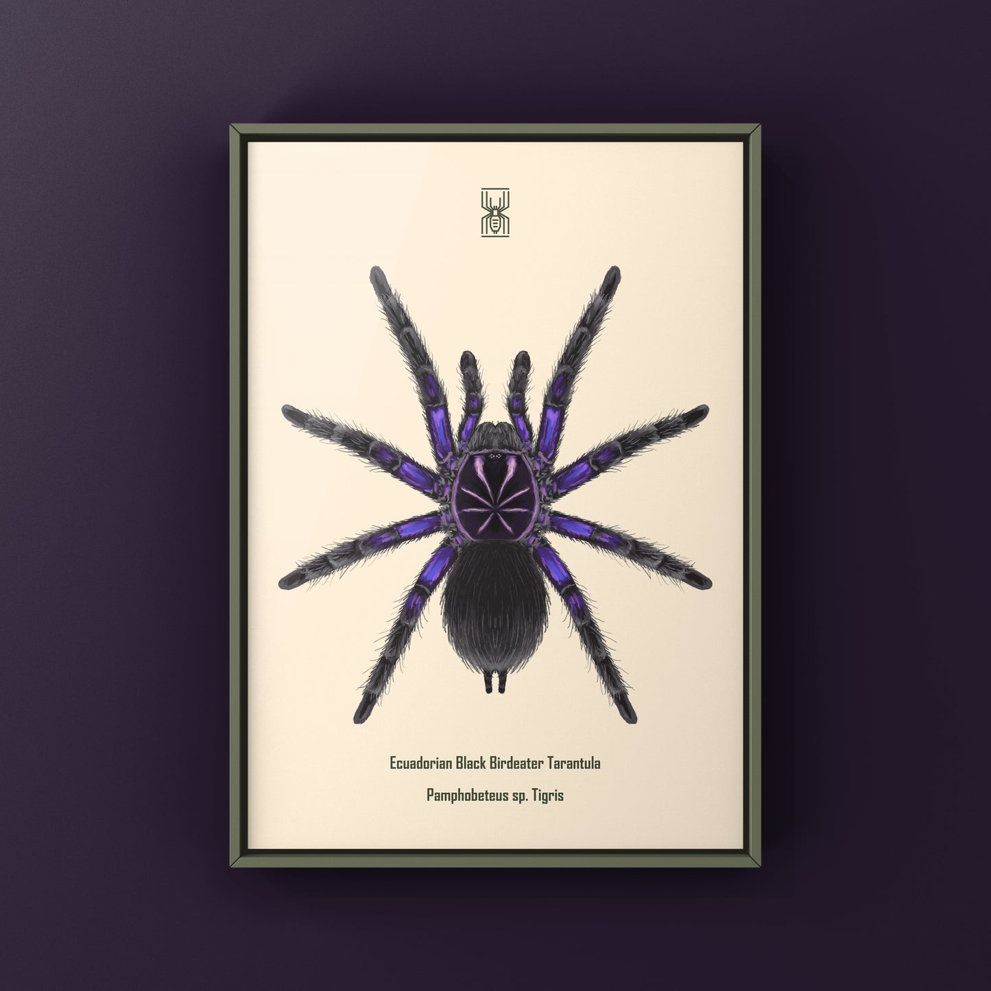 Ecuadorian Black Birdeater Tarantula (Pamphobeteus sp. Tigris) Art Print