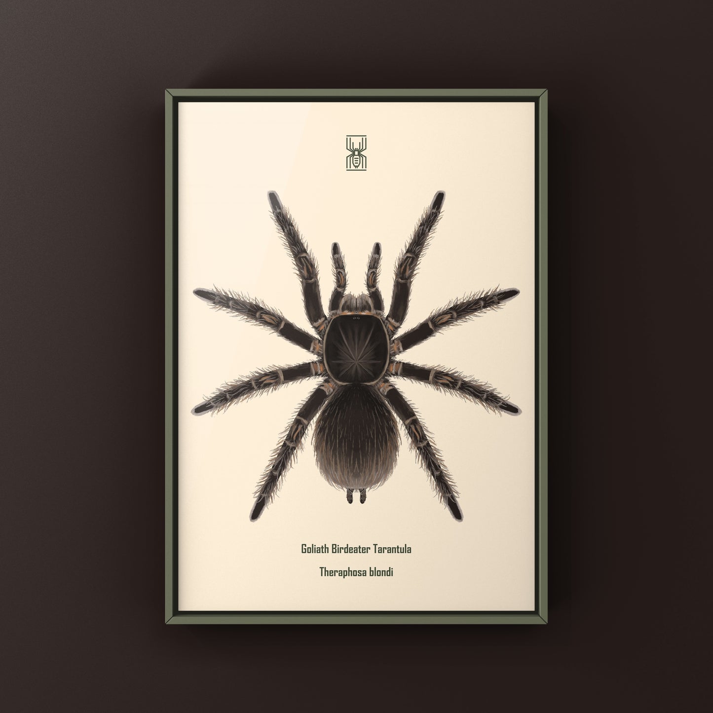 Goliath Birdeater Tarantula (Theraphosa blondi) Art Print