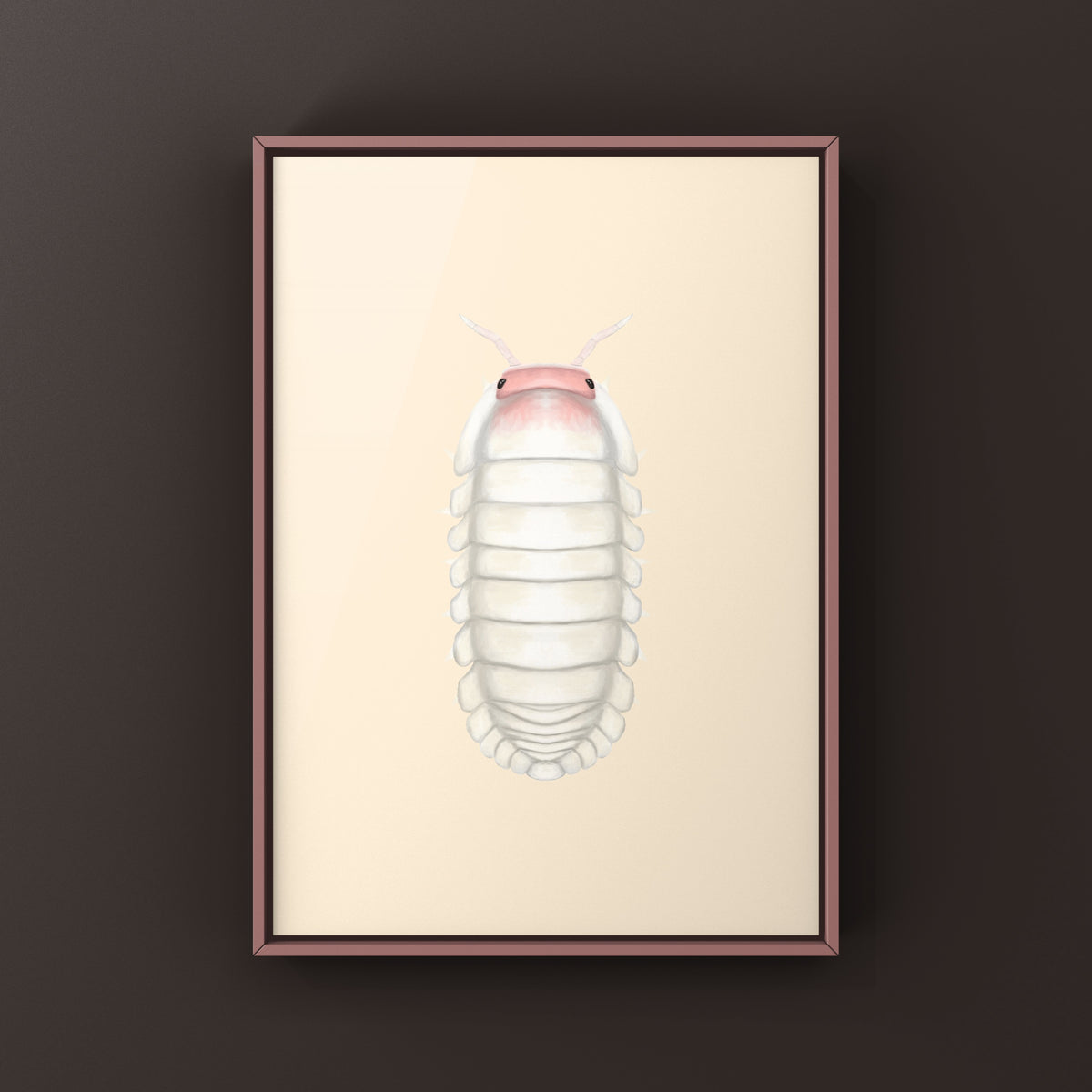 Frosted Petal Isopod Art Print (Cubaris sp. Frosted Petal) from The Silk Ranch