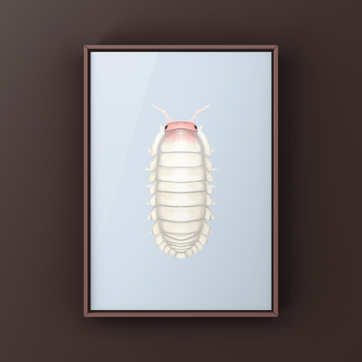 Frosted Petal Isopod Art Print (Cubaris sp. Frosted Petal) from The Silk Ranch