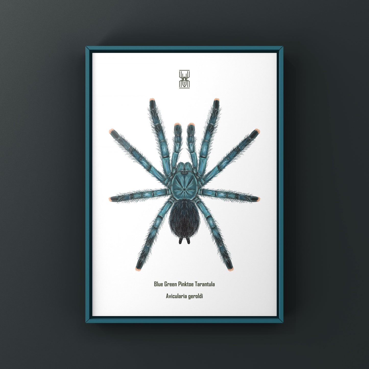 Blue Green Pinktoe Tarantula (Avicularia geroldi) Art Print