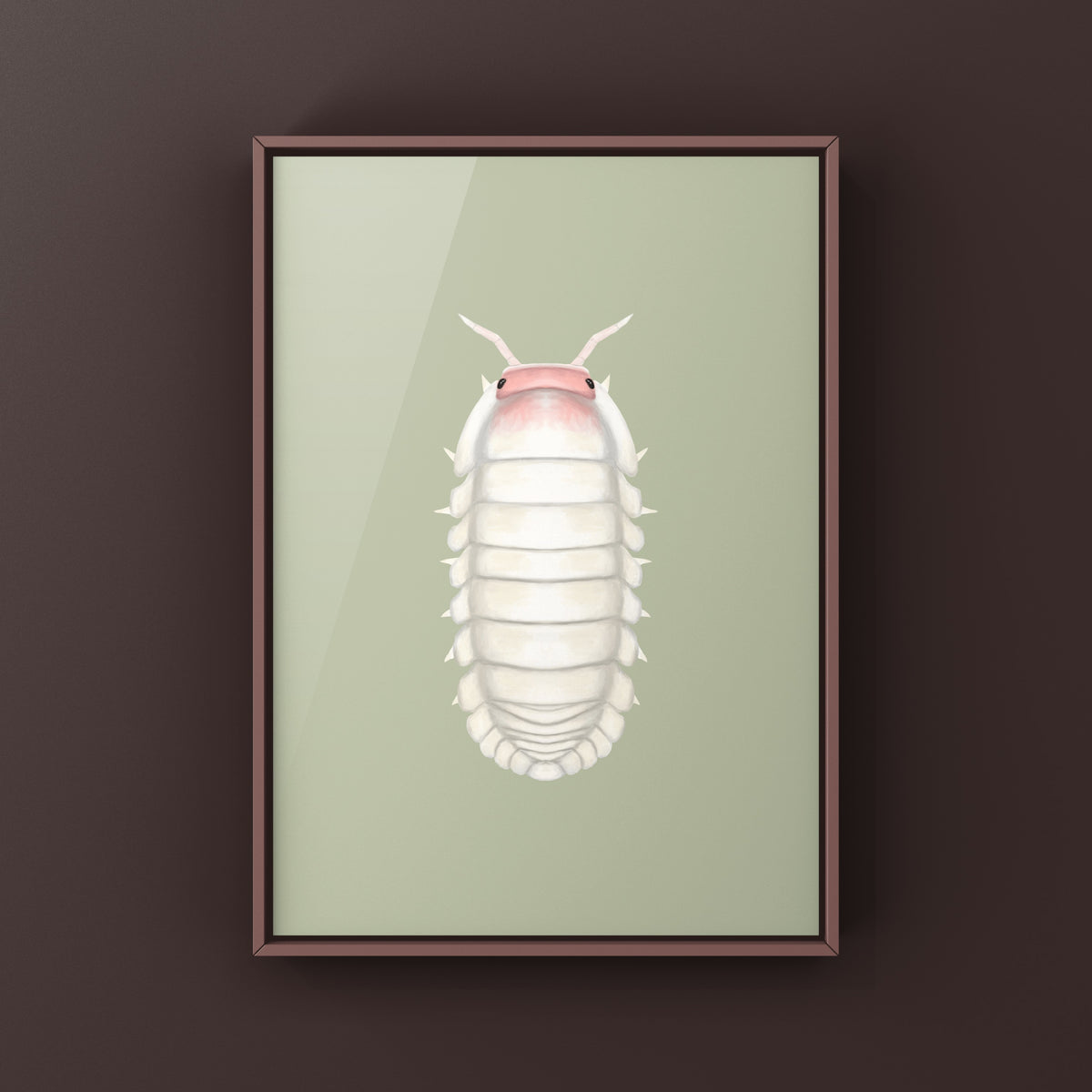 Frosted Petal Isopod Art Print (Cubaris sp. Frosted Petal) from The Silk Ranch