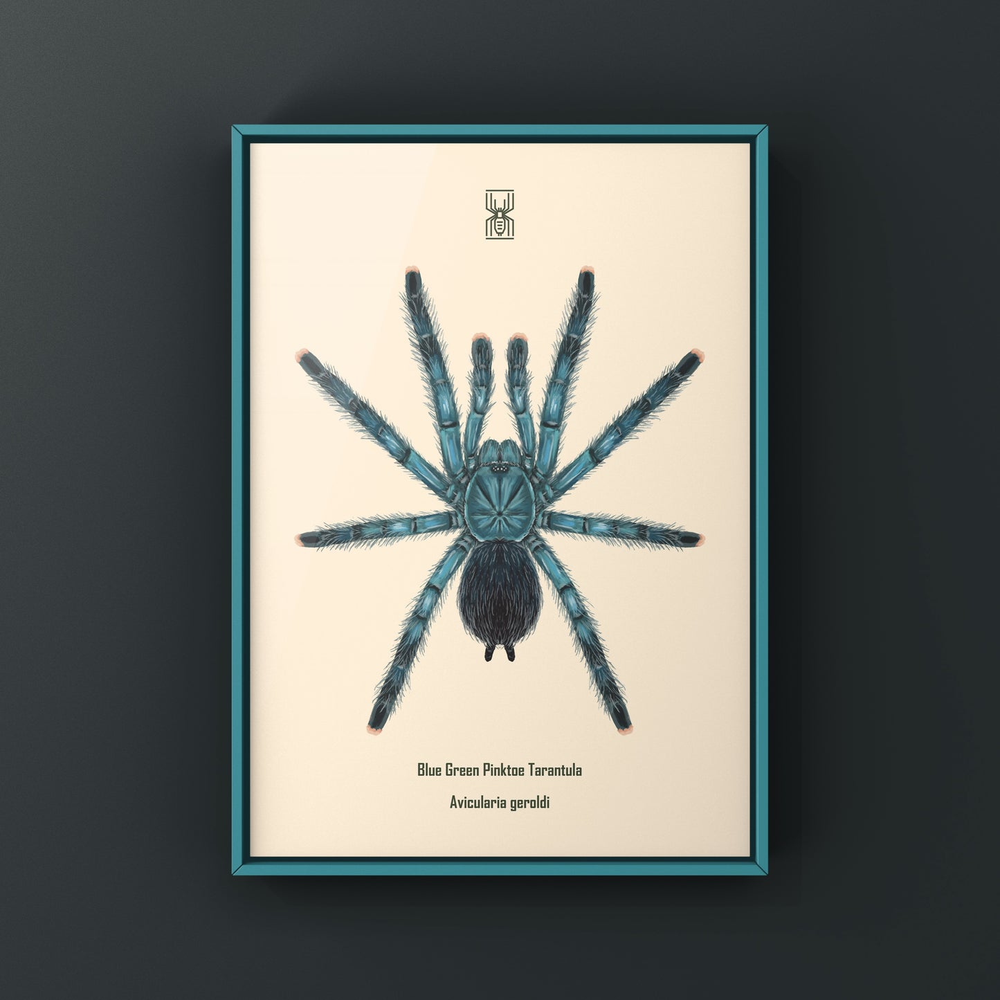 Blue Green Pinktoe Tarantula (Avicularia geroldi) Art Print