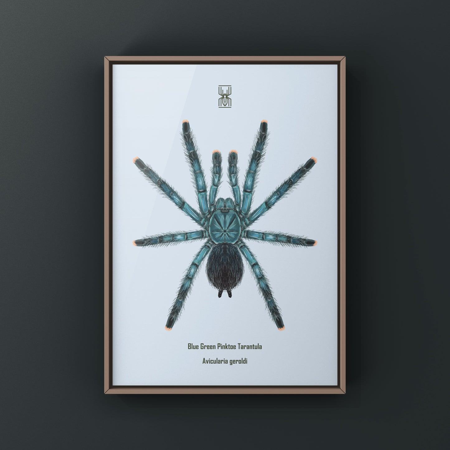 Blue Green Pinktoe Tarantula (Avicularia geroldi) Art Print