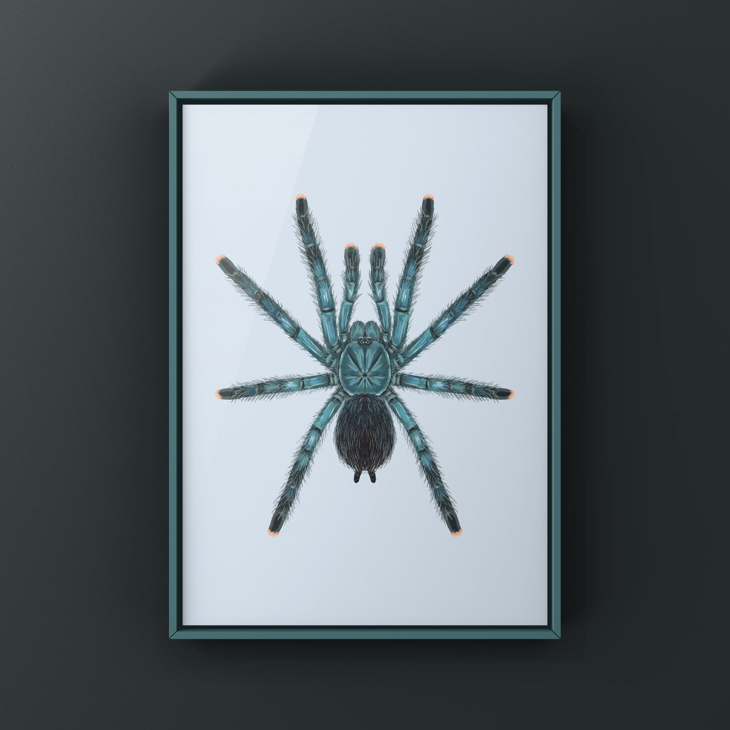 Blue Green Pinktoe Tarantula (Avicularia geroldi) Art Print